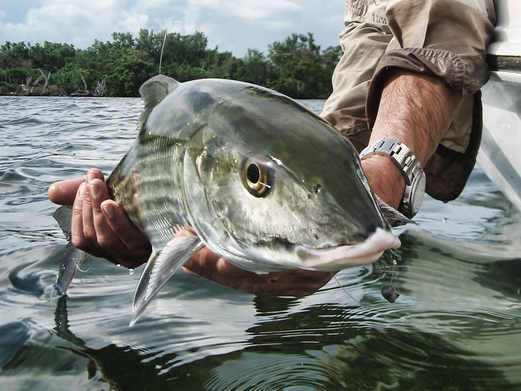 Bonefishing in the florida keys, fishing guide
