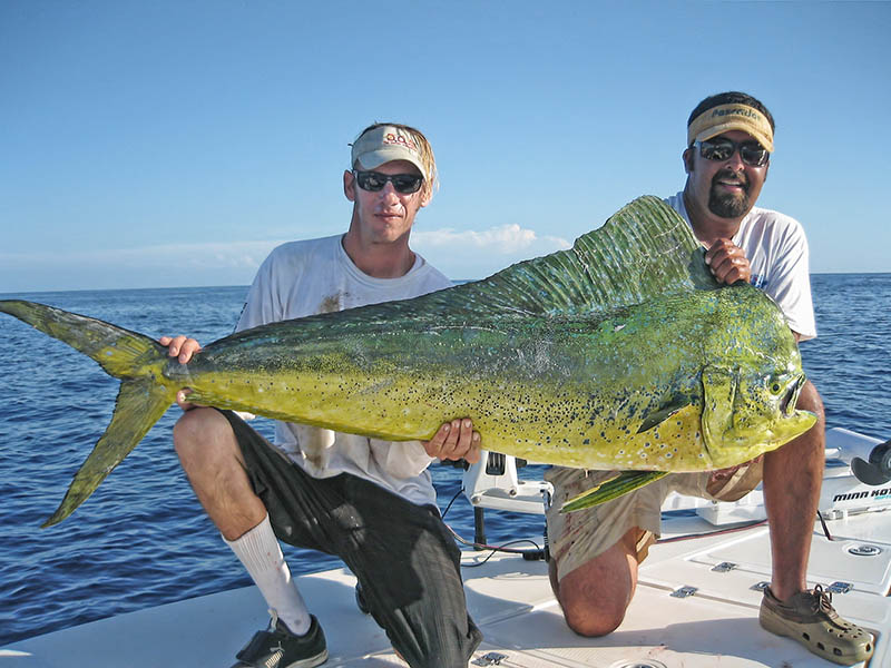 Mahi fishing marathon florida keys